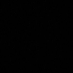 Meet your Posher, Ray